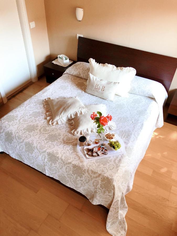 皮亚泽塔住宿加早餐旅馆 萨尔扎纳 外观 照片