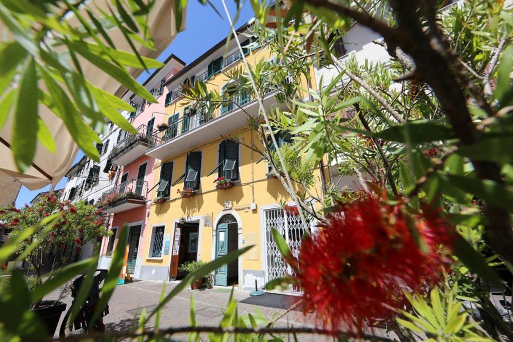 皮亚泽塔住宿加早餐旅馆 萨尔扎纳 外观 照片